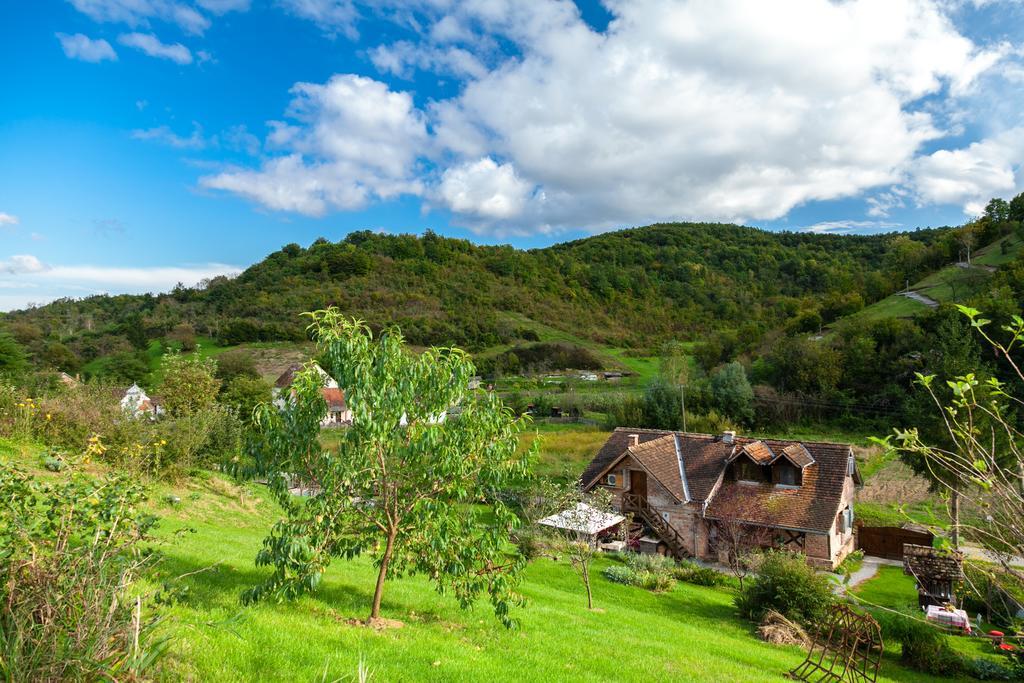 Country House "Stricev Grunt" Stara Kapela Quarto foto